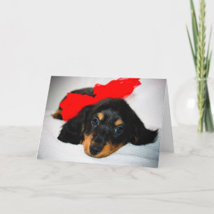 Be Mine-Dachshund puppy valentine's day card