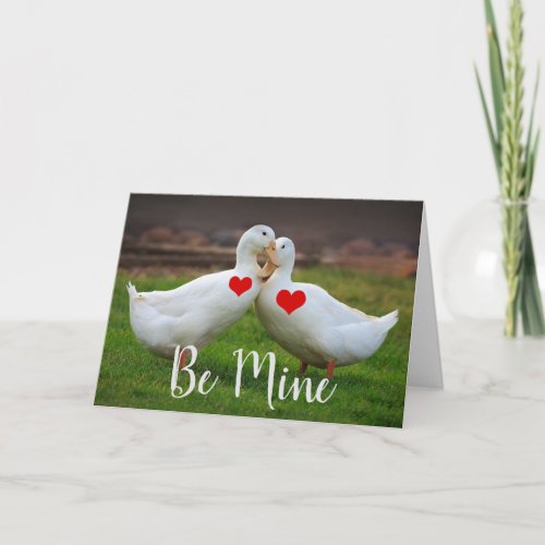 Be Mine Ducks Valentine Card