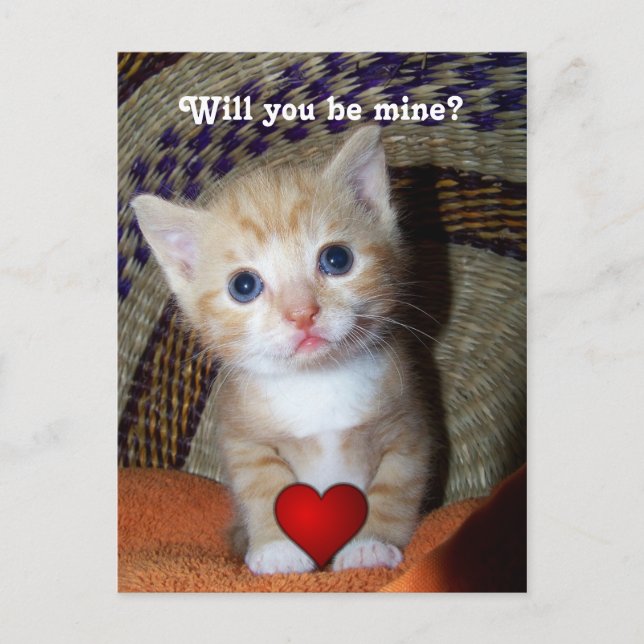 Be Mine Kitten Postcard (Front)