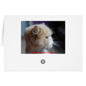 Be Mine Persian Cat Cards (Back Horizontal)
