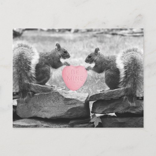 be mine squirrels postcard