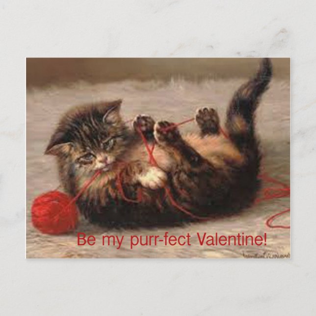 Be My Purr-fect Valentine! Holiday Postcard (Front)
