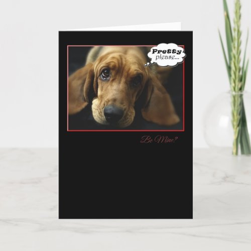 Be My Valentine Basset Hound Card