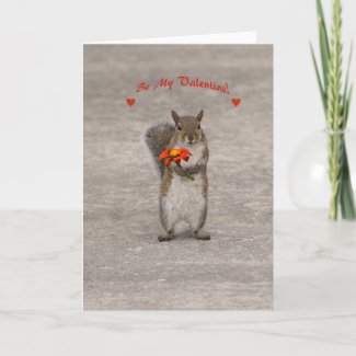 Be My Valentine from cute Squirrel