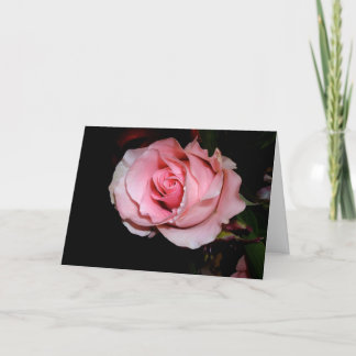 Be My Valentine! Holiday Card