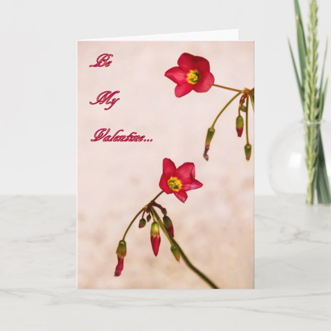 Be my Valentine Holiday Card (Front)