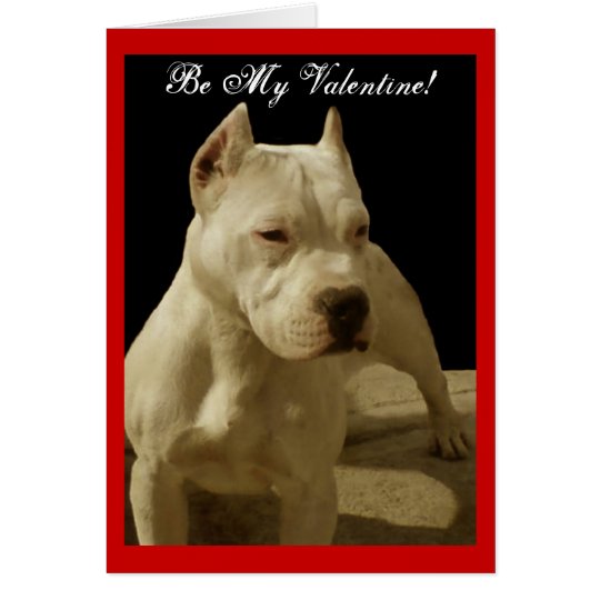 Be My Valentine pitbull greeting card | Zazzle