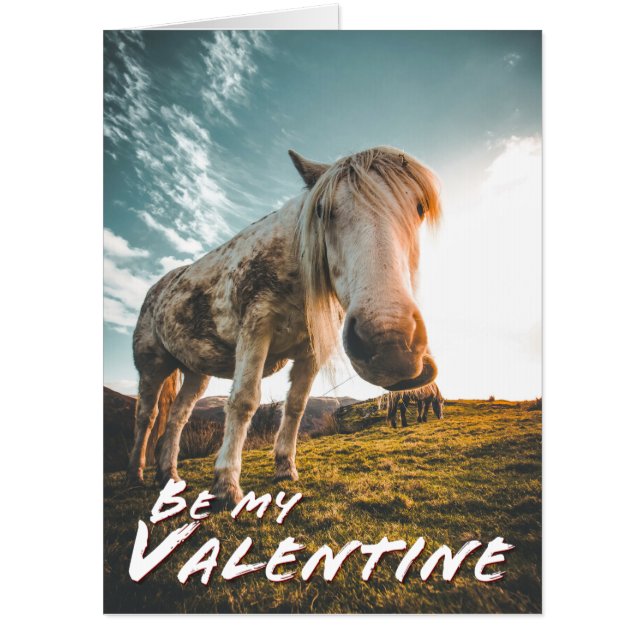 Be my Valentine with looking Horse Card (Front)