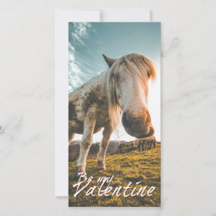 Be my Valentine with looking Horse V2.0