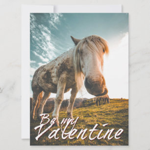 Be my Valentine with looking Horse V2.0