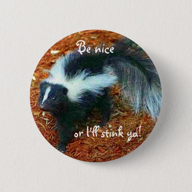 Be nice or I'll stink ya!-button Pinback Button (Front)