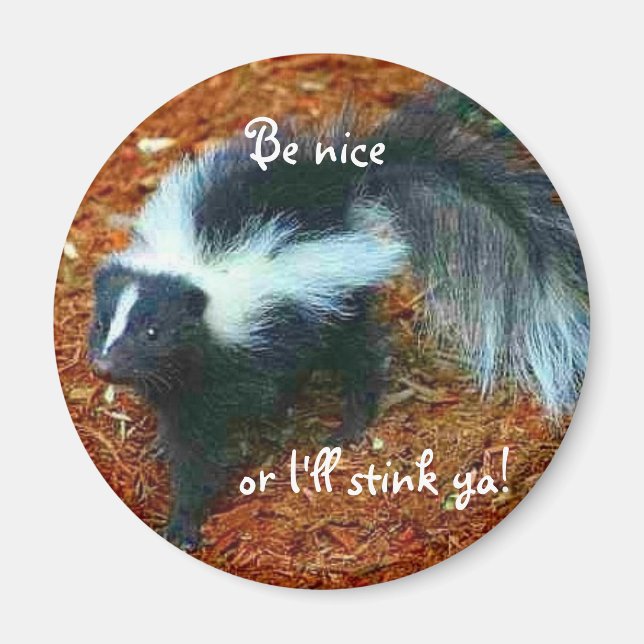Be nice or I'll stink ya!-magnet Magnet (Front)