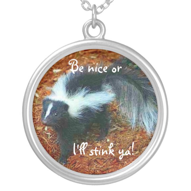 Be nice or I'll stink ya!-necklace Silver Plated Necklace (Front)