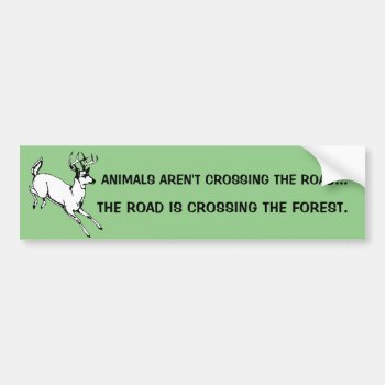 Be Nice To Animals Bumper Sticker by acidwashedmessiah at Zazzle