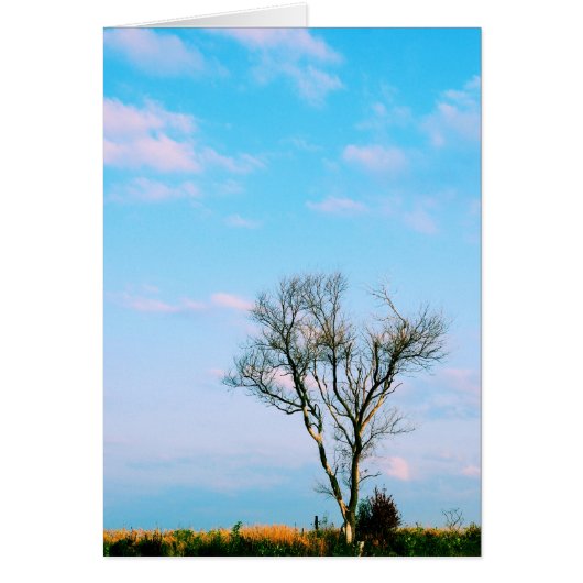 Be Not Barren - Scripture Card (Front)