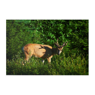 Be on Your Way Acrylic Print