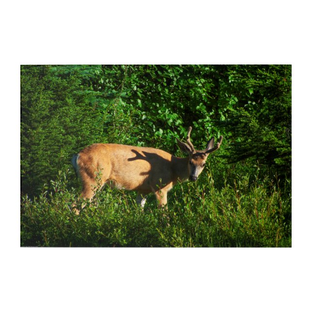 Be on Your Way Acrylic Print (Front)