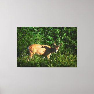 Be on Your Way Canvas Print