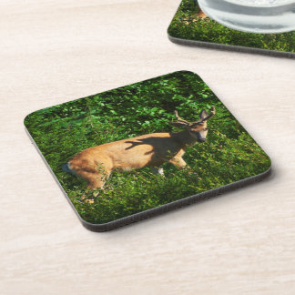 Be on Your Way Coaster