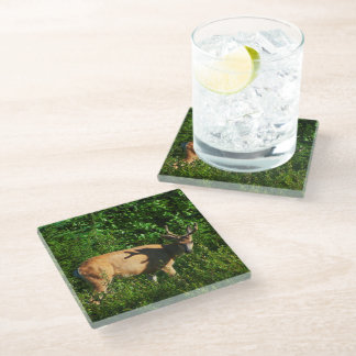 Be on Your Way Glass Coaster