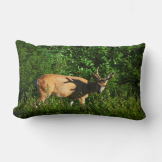 Be on Your Way Lumbar Pillow