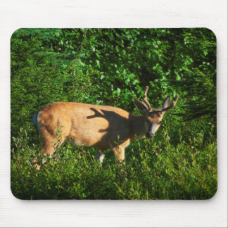 Be on Your Way Mouse Pad