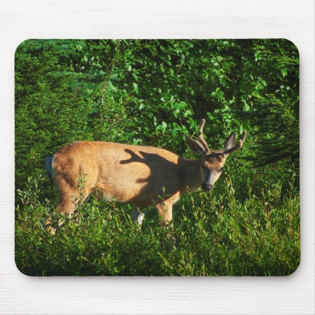 Be on Your Way Mouse Pad (Front)