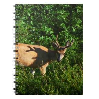 Be on Your Way Notebook