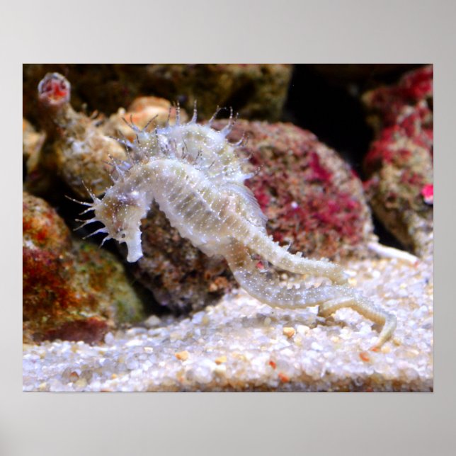 Be ​ ​ poster (Front)