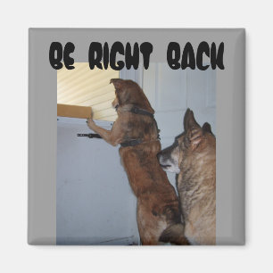 BE RIGHT BACK -jazzy and cb 2, Magnet