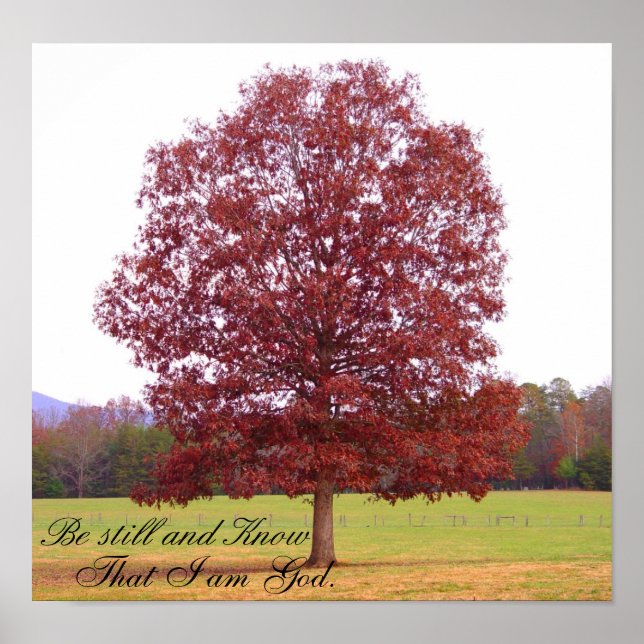 Be Still Poster (Front)