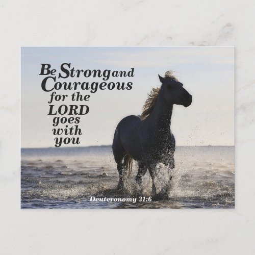 Be Strong and Courageous Deuteronomy 316 Horse Postcard