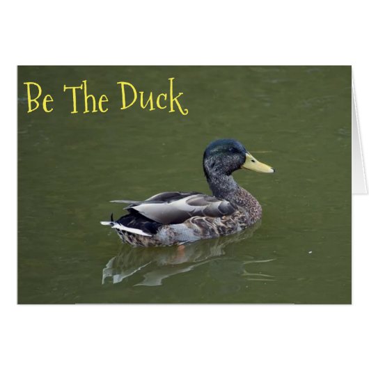 Be the Duck Cards (Front Horizontal)