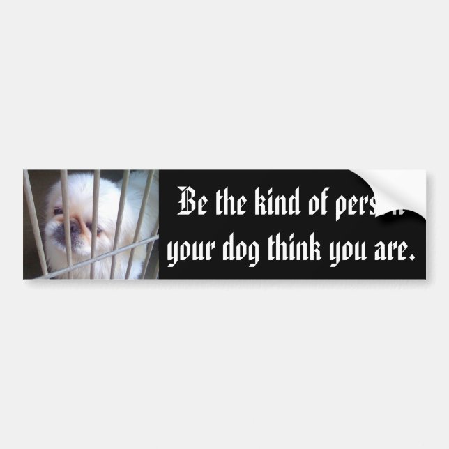Be The Person Bumper Sticker (Front)
