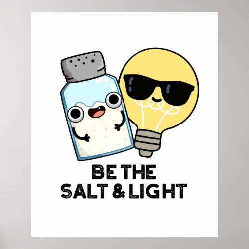 Be The Salt And Light Funny Bible Pun Poster