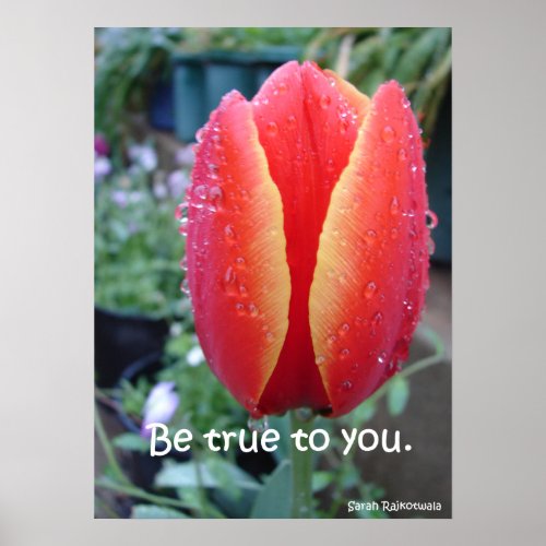 Be True To You Red Tulip Nature Garden Poster