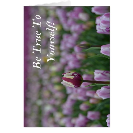 Be True to Yourself Cards (Front)