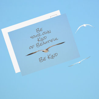 Be Your Own Kind of Beautiful Be Kind Seagull