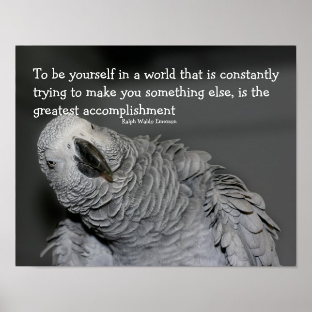 Be Yourself Quote Cute Parrot Inspirational Poster (Front)
