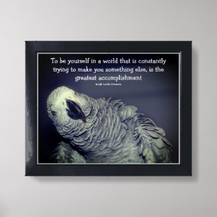 Be Yourself Quote Parrot Inspirational Framed Art
