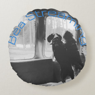 Bea Streaming Bailey Pillow