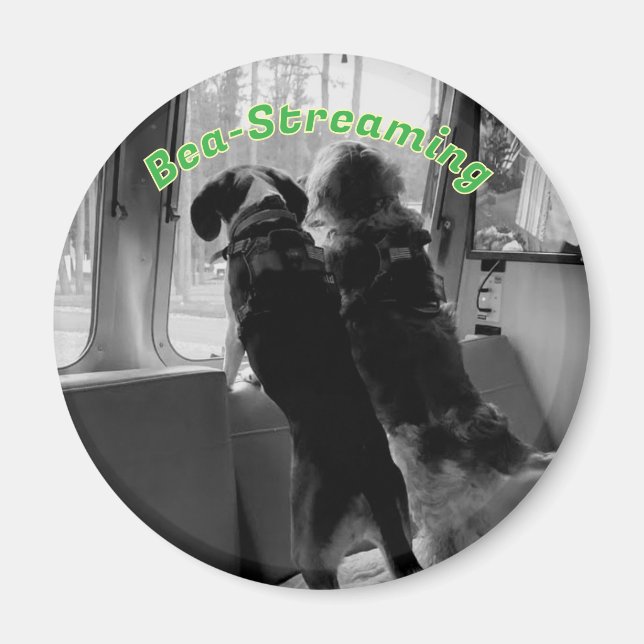 Bea-Streaming Dogs Magnet (Front)