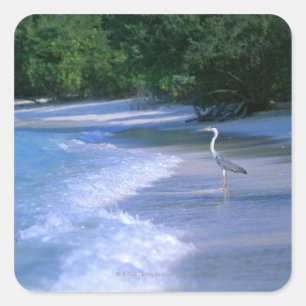 Beach 2 square sticker