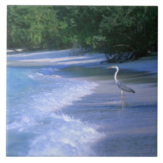 Beach 2 tile (Front)