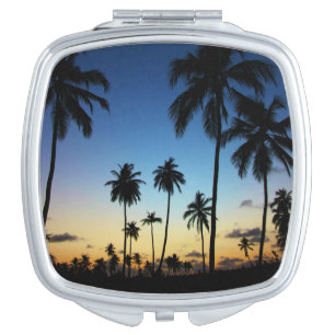Beach And A Coastal Village   Praia Do Forte Mirror For Makeup