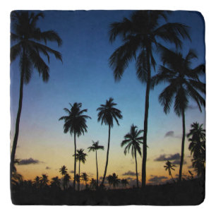 Beach And A Coastal Village Praia Do Forte Trivet
