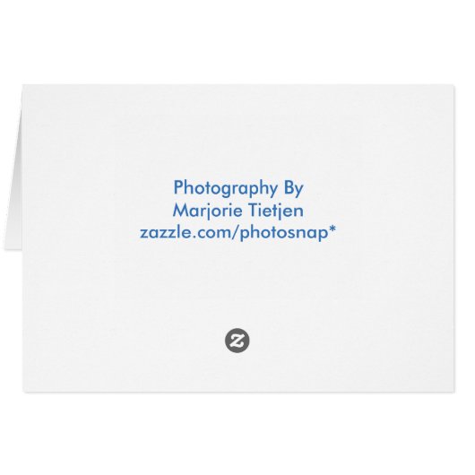 Beach and Driftwood Thank You Card (Back Horizontal)