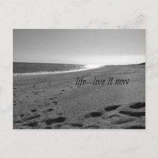 Beach and Life Quote Postcard