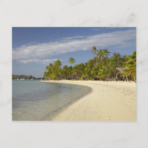 Beach and palm trees, Plantation Island Resort Postcard