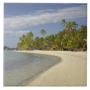 Beach and palm trees, Plantation Island Resort Tile
